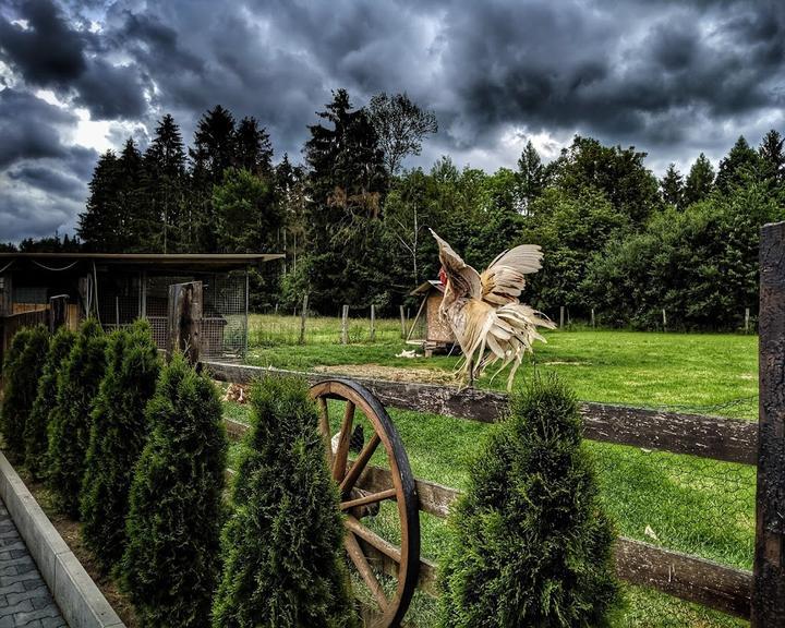 Landgasthof Tannenhof